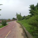 한산4교 Daum카페