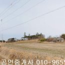 영암군 도포면 성산리 대지1290제곱,매5천8백,전남주택매매,영암주택매매 이미지