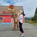 일파만파농장 | [아이와 여행] 증평 벨포레 여행_미니골프, 루지