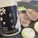 세븐일레븐 동해이편한점 | 막 막걸리 솔직후기 봄비내릴때 7200원 값 하는 프리미엄 막걸리(세븐일레븐 단독출시 찾는방법 꿀팁 포함)