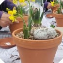 초전 마을회관 이미지