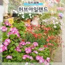 허브아일랜드식물원 | 포천 허브아일랜드 아이와 실패후기로 얻은 동선팁