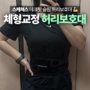 스케쳐스 허리보호대 후기, 얇아서 편한 체형교정용 허리복대 추천