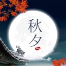 아토 태권도장 이미지