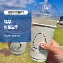 바투바투 | 하도해수욕장 카페 바투모루 내돈내산 후기