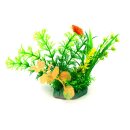 아쿠아테라 수족관 이미지