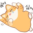 벌교이마트 이미지