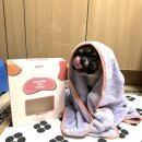 챠밍애견 | 웨그즈 챠밍 펫타올 | 펫타올 후기 | 극세사 펫타올