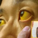 (주)한국 1339 이미지