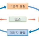 피트니스 13월 이미지