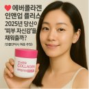 먹는 K-뷰티&#39; 끝판왕! 뉴트리 에버콜라겐 인앤업 플러스, 피부 속부터 빛나는 비결? (+만물안박사 꼼꼼...
