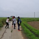 오상리고인돌주차장 이미지