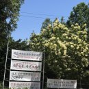 남성목장 | 여주 은아목장 아이랑 예약 없이 체험