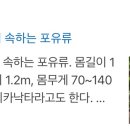 벗앤푸드