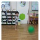 공굴려맞추기 Daum카페
