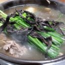 능이촌 - 부여군 | 능이촌