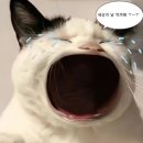 황금로-L | [김포 / CHEZ] 재즈가 뭐라고 생각하세요? 내돈내먹 김포 JAZZ &amp; LP 카페 CHEZ 후기