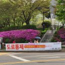 8단지입구사거리(철쭉동산쪽) | 미리 다녀온 철쭉동산 개화상태 및 철쭉축제 일정 [2024 군포 철쭉축제]