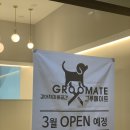 그루메이트 Groomate 이미지