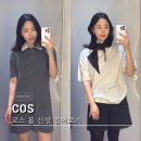 미니드레스 | 코스 봄신상 피팅 후기 | 메리노 울 미니 드레스 &amp; 울 티셔츠 사이즈 비교