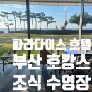 파라다이스호텔부산 노동조합 | 파라다이스 호텔 부산 호캉스 후기 조식 수영장 라스칼라 광안리 불꽃축제