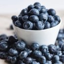 블루베리 이미지