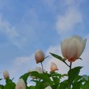 오천마을회관 이미지