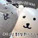 삼화프린팅 | <더현대> 나가노마켓 in 대구 팝업 후기✨