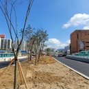 홍도지하보도 이미지