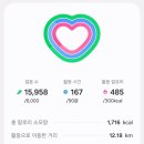 6145 | [도쿄태교여행#6] 2일차｜시부야 파르코, 시부야 스카이, 스투시, 우나기노 에이토