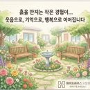 마음에 꽃을 피우는 행복한 생활원예 | 🌿 어르신의 마음에 꽃을 피우는 '원예 치유 프로그램'