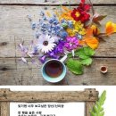 신미향 이미지