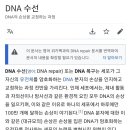 [고급정보] 하나님께서는 인체에 DNA복구 시스템도 이미 만들어놓으셨다 이미지