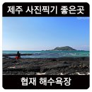 지.TOP펜션