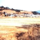 신지면-5 이미지