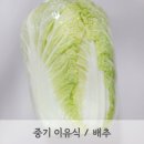 모도리베이비 이미지