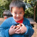 치자로 물들이기 이미지