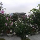 무궁화파크 이미지