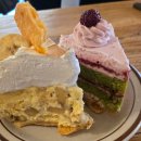 백송초밥 | (-.-)Zzz・・・・