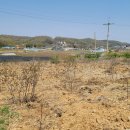 선원면-9 이미지