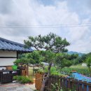 안대머리농가민박 | 충남 보령 감성숙소 [안대머리농가민박] 전통 한옥에서 즐기는 시골 감성 힐링 여행