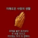 11월13일(월) 출석부/ 인생 새옹지마 이미지