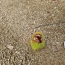 포시즌풀하우스 이미지