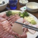 대찬횟집 | 종각역 대방어 줄서서 먹는 맛집 [대찬횟집] 내돈내산 후기