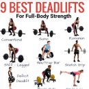 대연 헬스 이미지