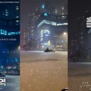경기북부외제차 이미지