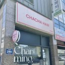 차차 101(CHACHA 101) 이미지