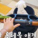 견생냥품무인24시군산디오션시티점