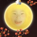 단셋
