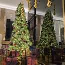 hong car service | 홍콩 공항에서 HZMB 버스로 마카오 가는 법 | 그랜드 리스보아 Red Bowl 메뉴 추천&amp;카지노 에그타르트